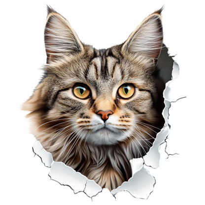Brown Maine Coon Cat With Green Eyes Vinyl Sticker Decal