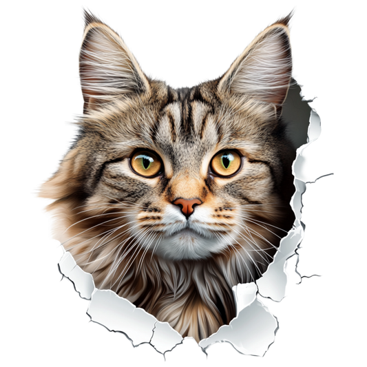 Brown Maine Coon Cat With Green Eyes Vinyl Sticker Decal