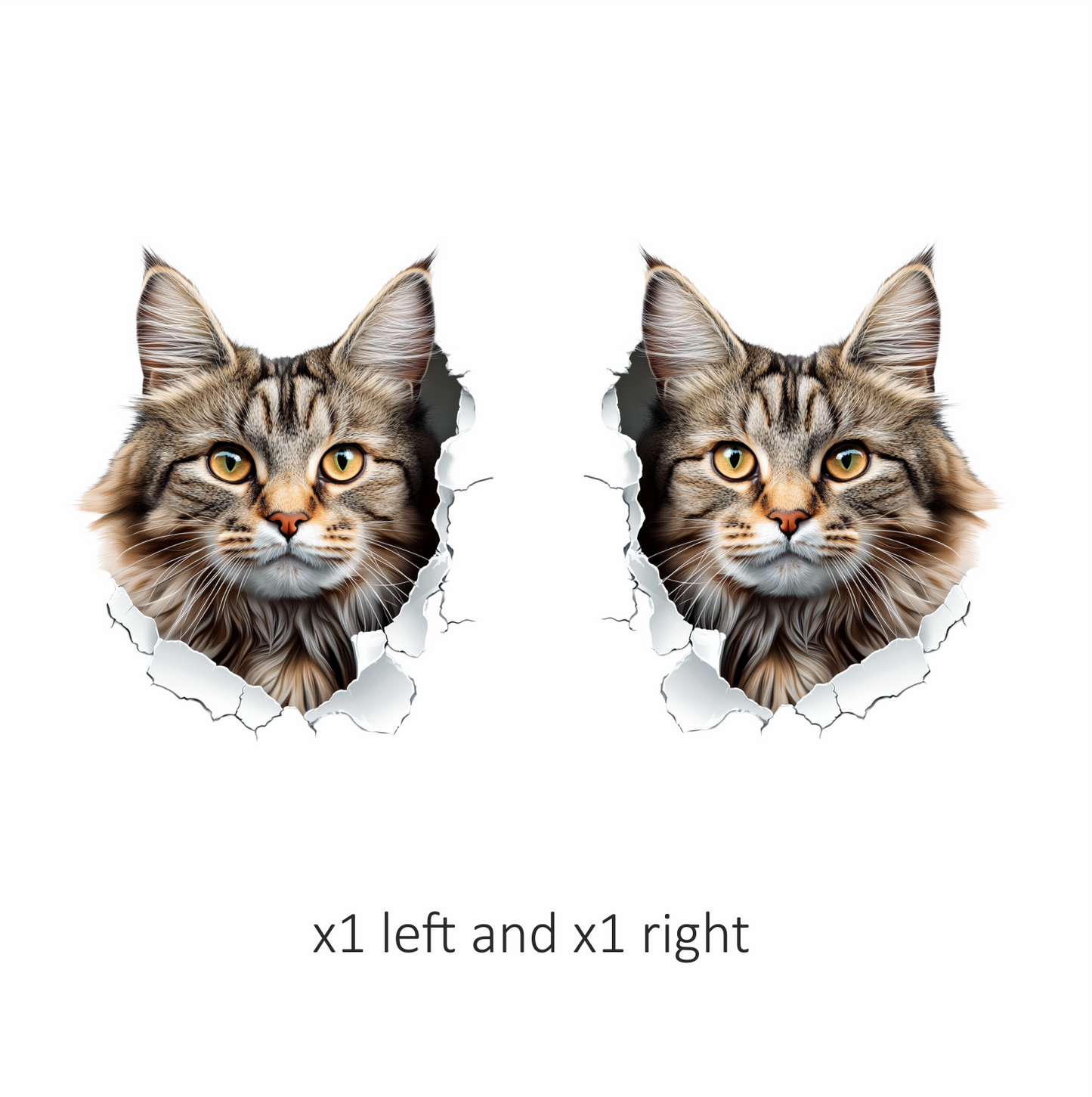 Brown Maine Coon Cat With Green Eyes Vinyl Sticker Decal