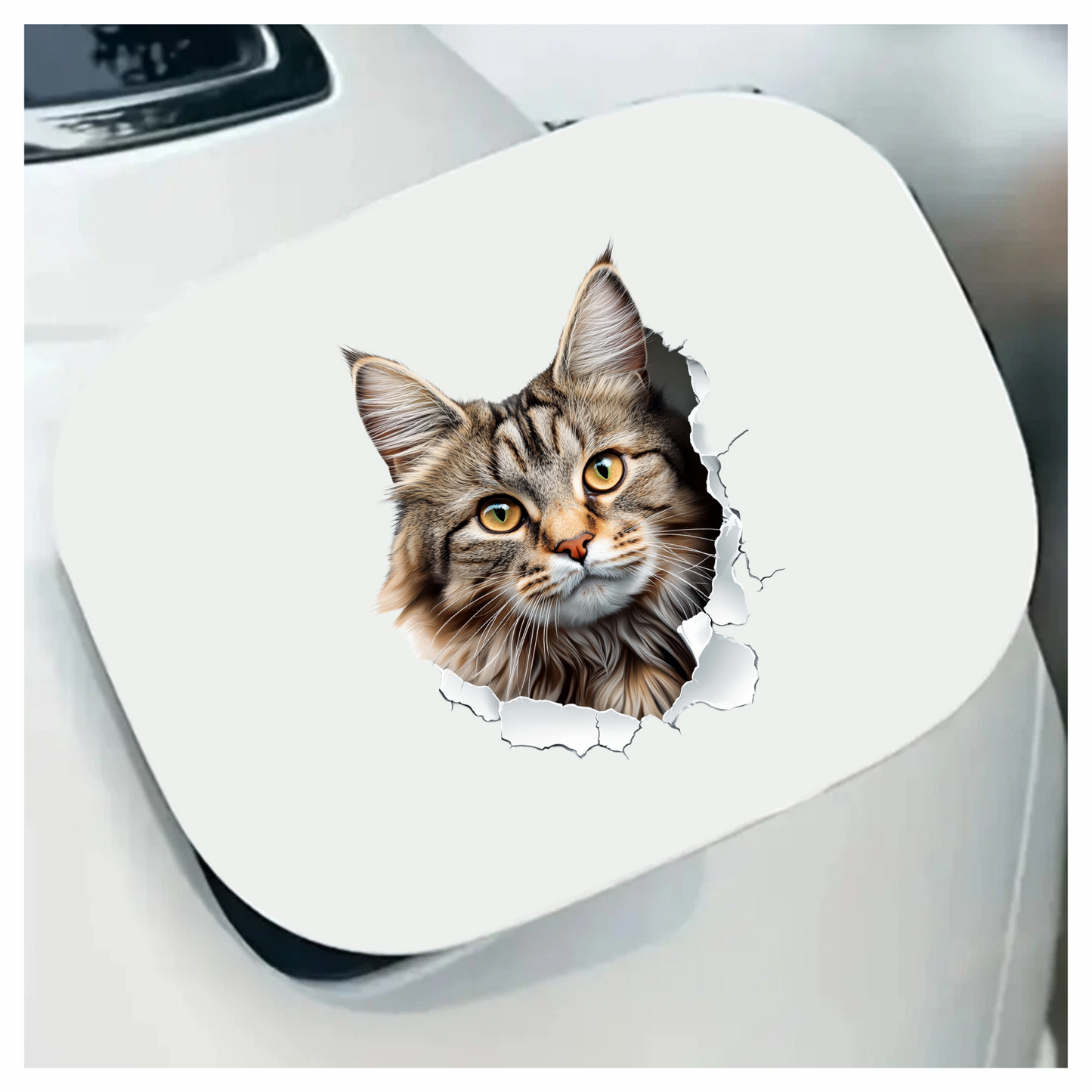 Brown Maine Coon Cat With Green Eyes Vinyl Sticker Decal