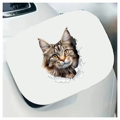 Brown Maine Coon Cat With Green Eyes Vinyl Sticker Decal