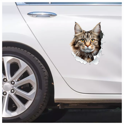 Brown Maine Coon Cat With Green Eyes Vinyl Sticker Decal