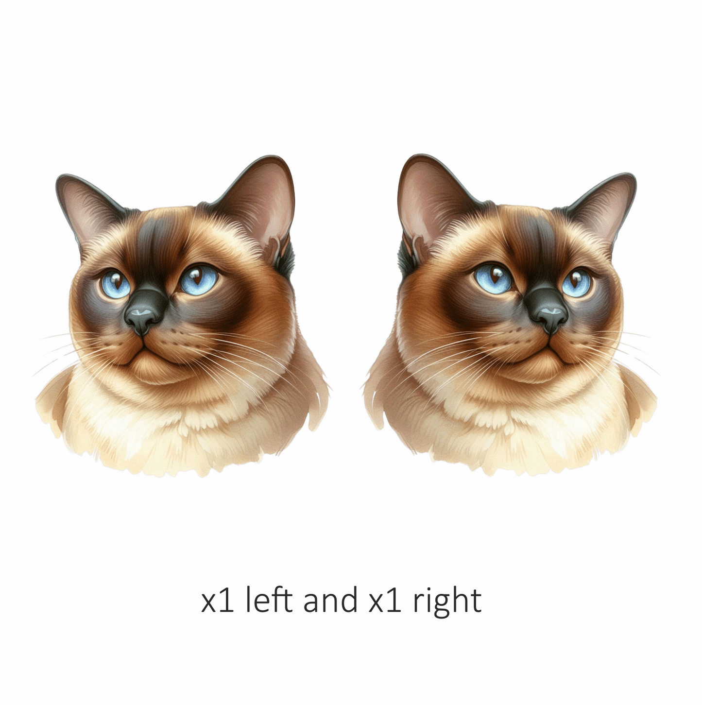 Brown Siamese Cat With Blue Eyes Vinyl Sticker Decal