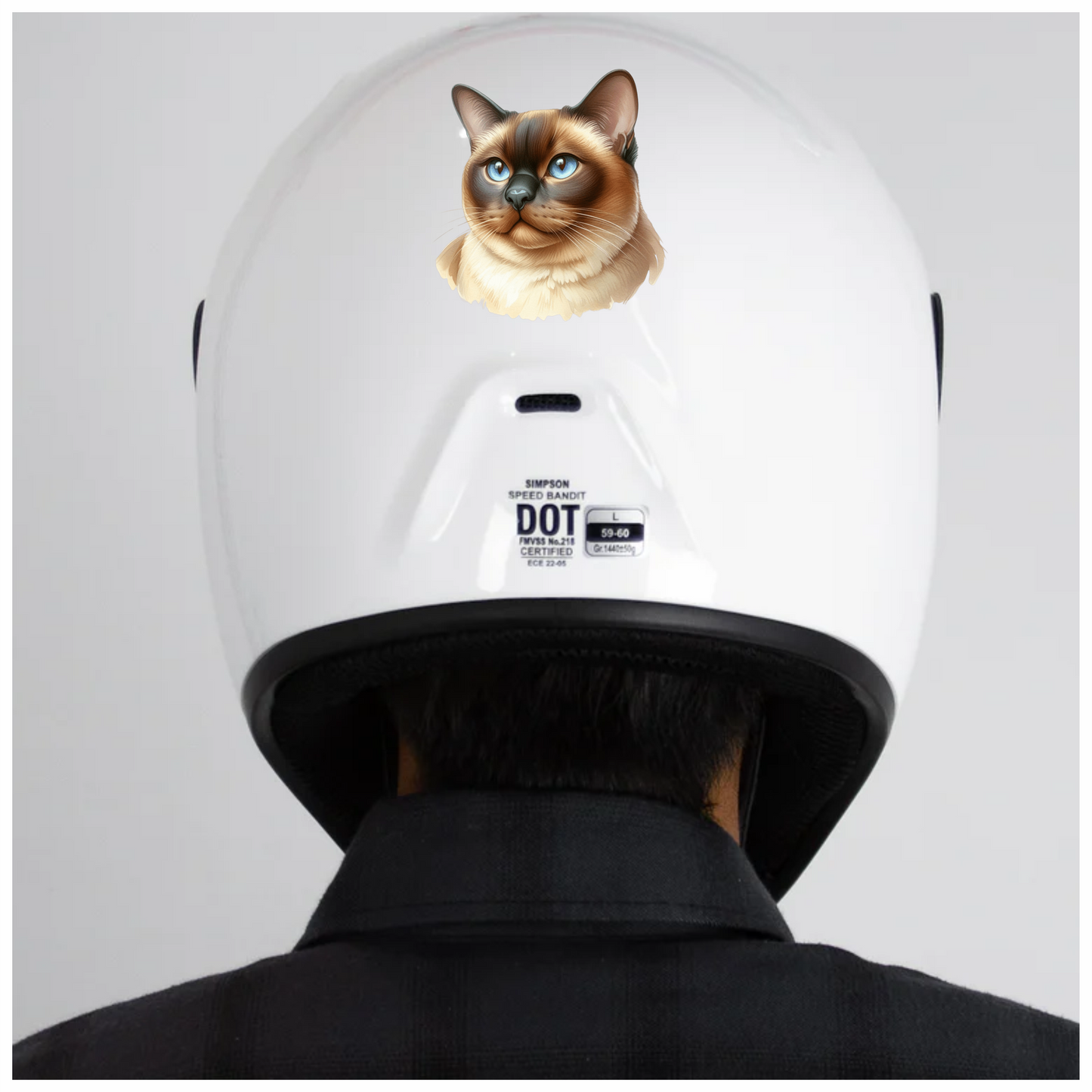 Brown Siamese Cat With Blue Eyes Vinyl Sticker Decal