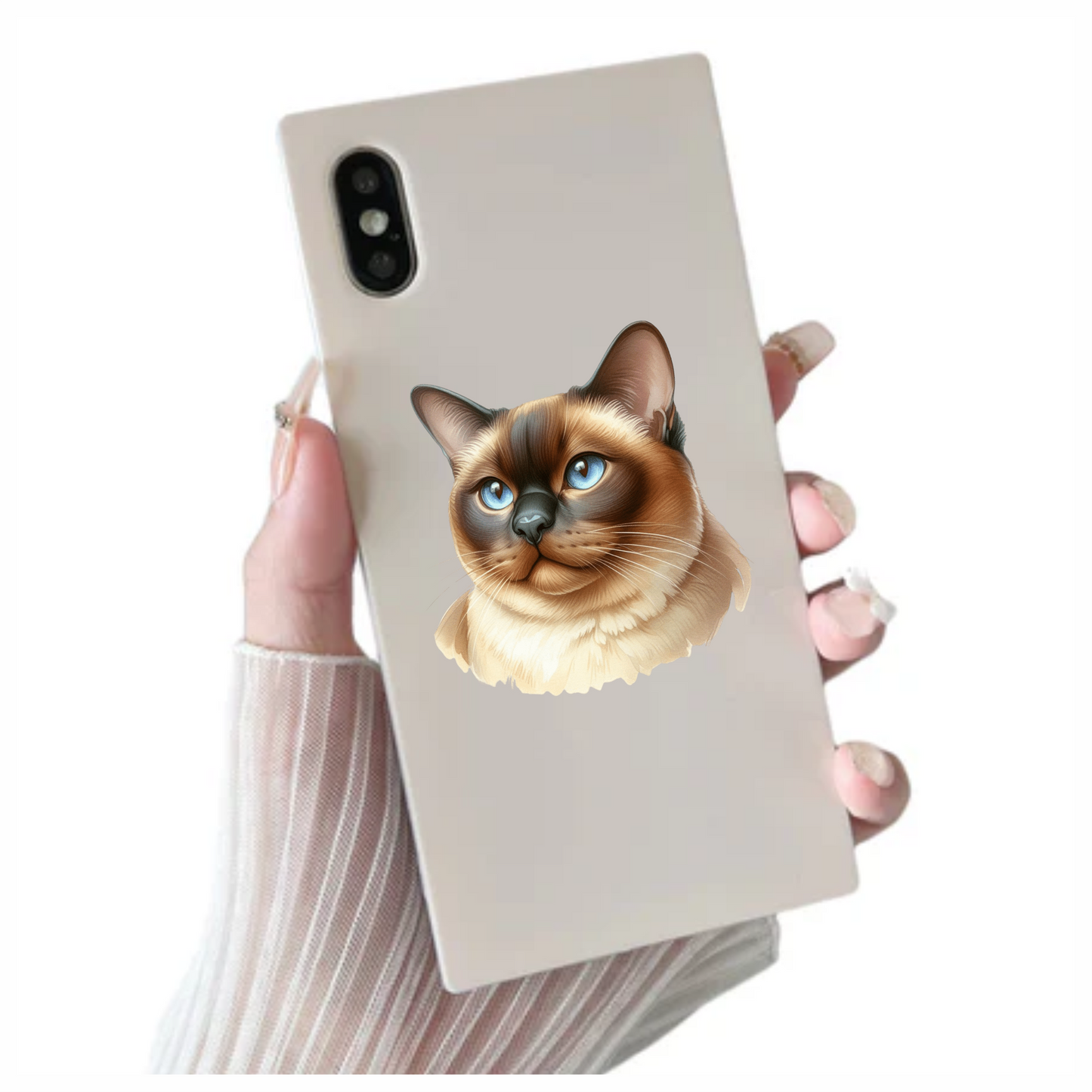 Brown Siamese Cat With Blue Eyes Vinyl Sticker Decal