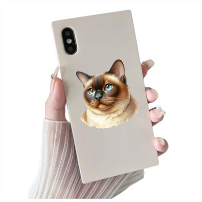 Brown Siamese Cat With Blue Eyes Vinyl Sticker Decal