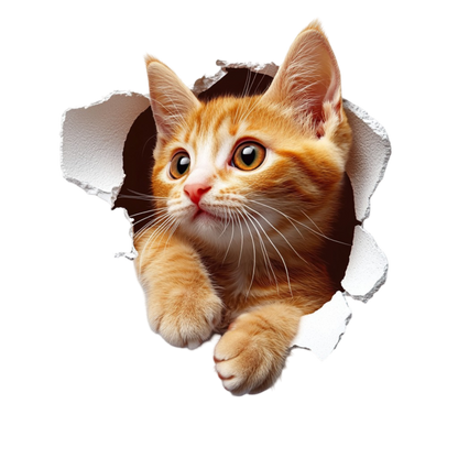 Orange Tabby Kitten With Amber Eyes Vinyl Sticker Decal