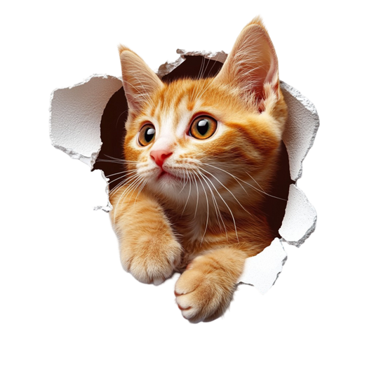 Orange Tabby Kitten With Amber Eyes Vinyl Sticker Decal