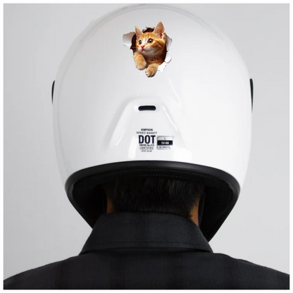 Orange Tabby Kitten With Amber Eyes Vinyl Sticker Decal