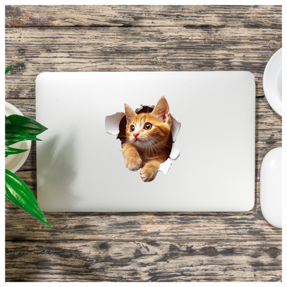 Orange Tabby Kitten With Amber Eyes Vinyl Sticker Decal