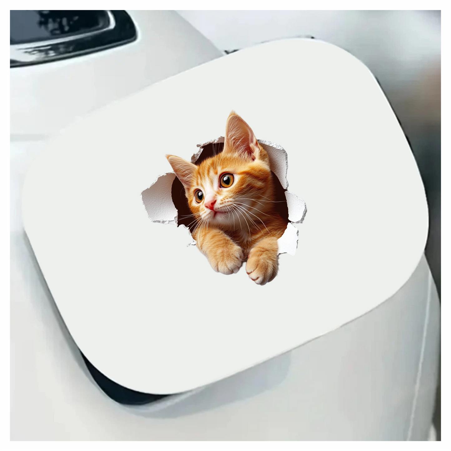 Orange Tabby Kitten With Amber Eyes Vinyl Sticker Decal