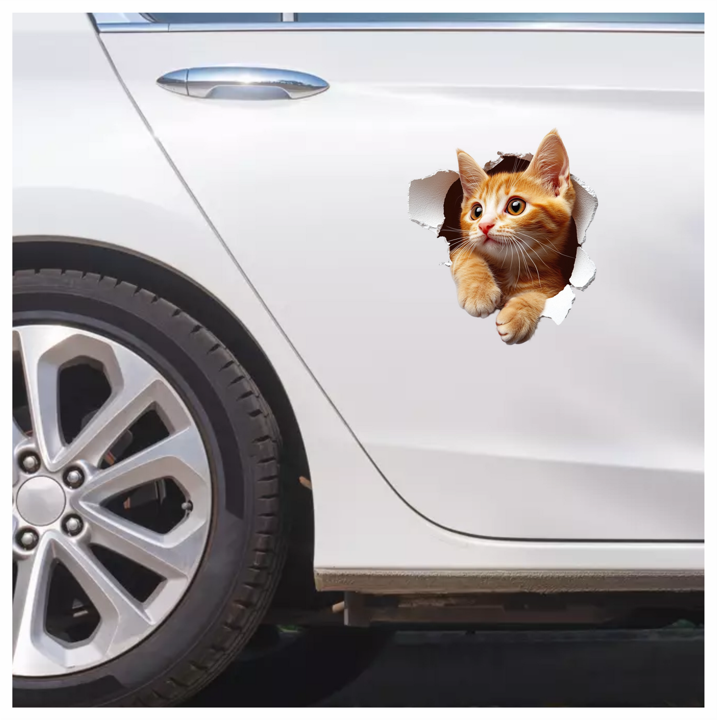 Orange Tabby Kitten With Amber Eyes Vinyl Sticker Decal