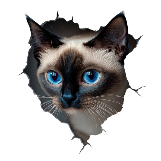 Brown Siamese Cat With Blue Eyes Vinyl Sticker Decal