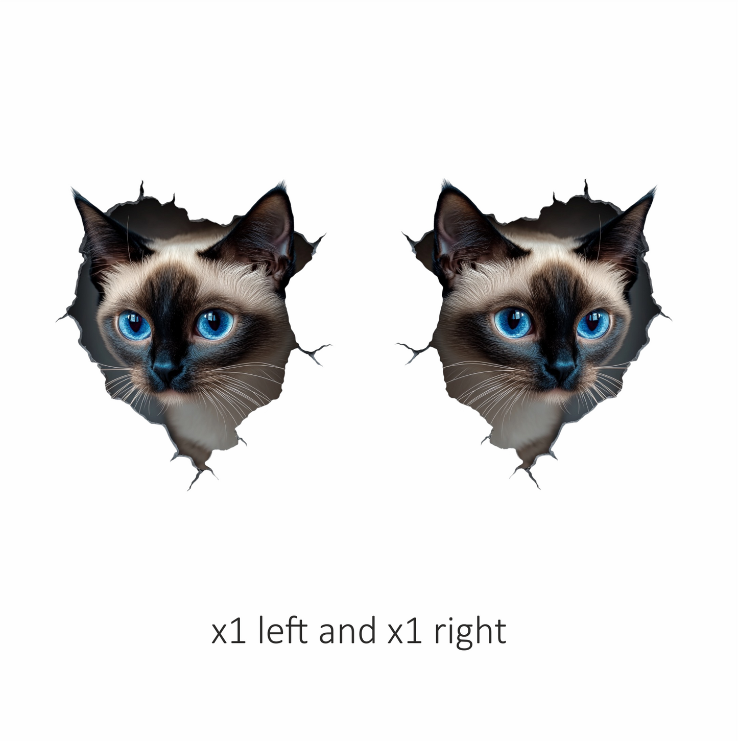 Brown Siamese Cat With Blue Eyes Vinyl Sticker Decal