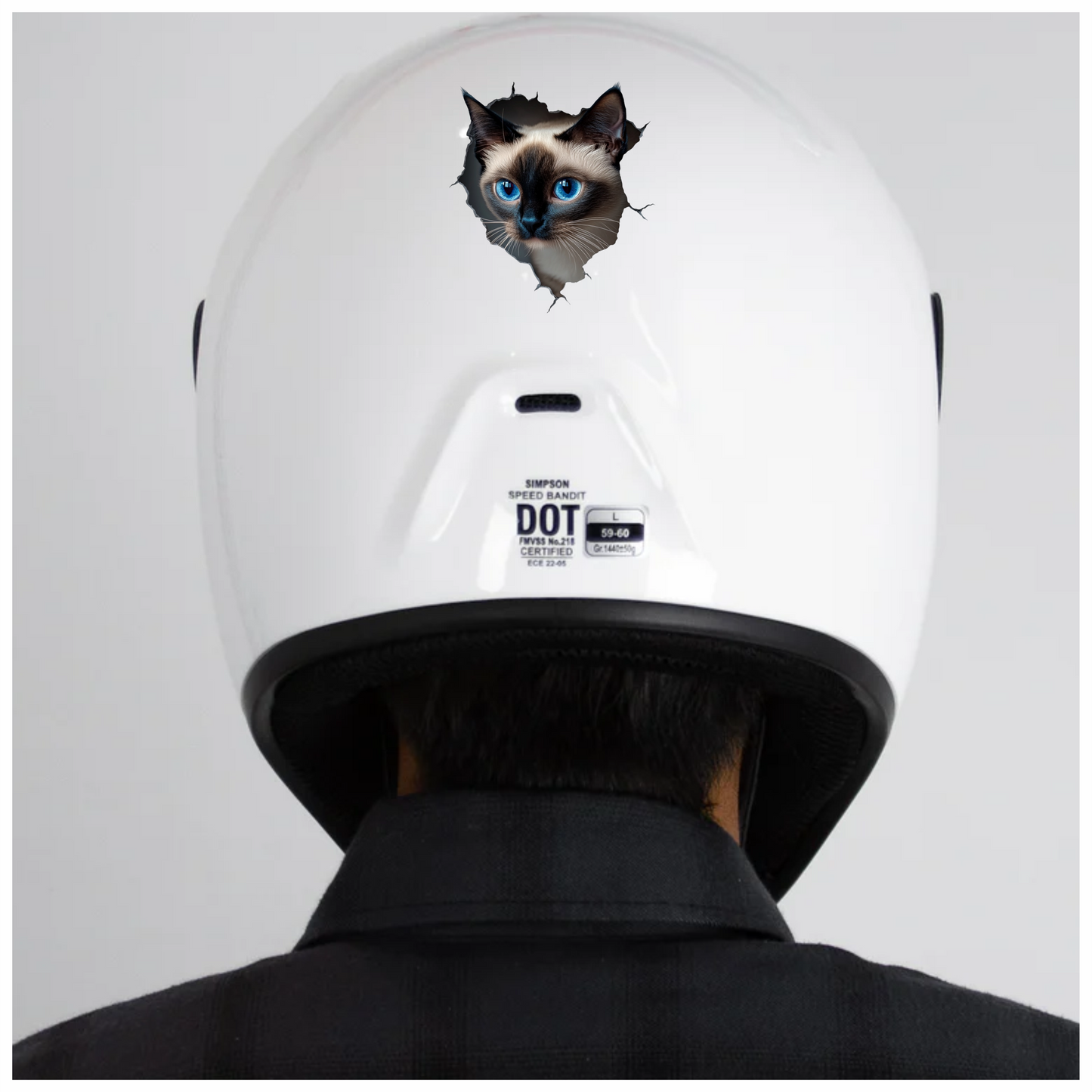 Brown Siamese Cat With Blue Eyes Vinyl Sticker Decal