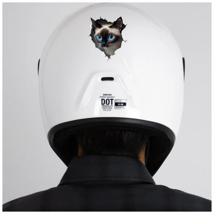 Brown Siamese Cat With Blue Eyes Vinyl Sticker Decal