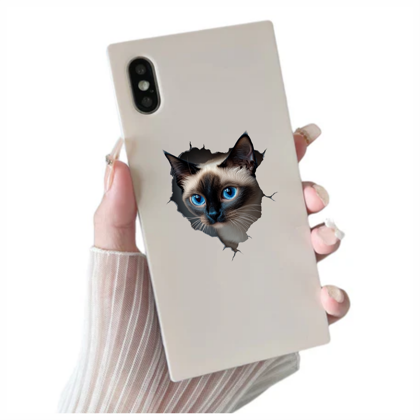 Brown Siamese Cat With Blue Eyes Vinyl Sticker Decal