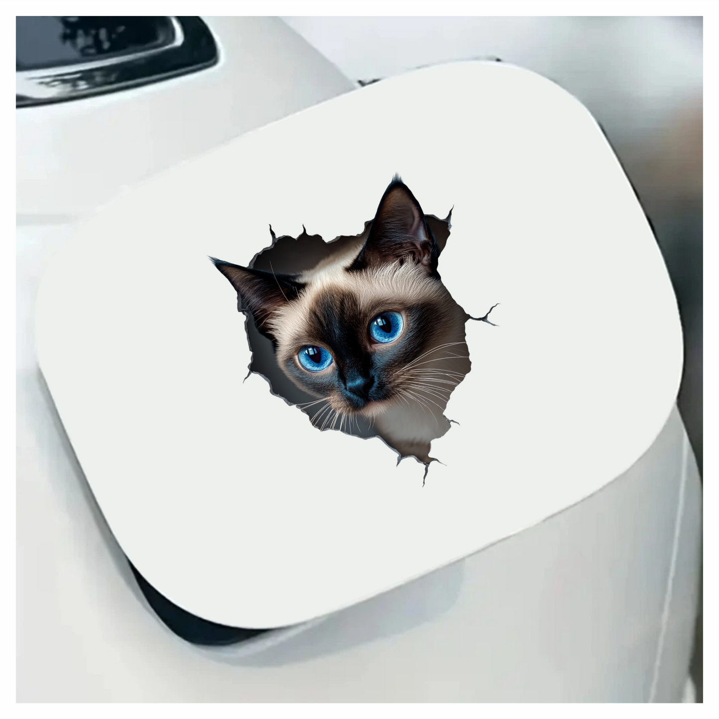 Brown Siamese Cat With Blue Eyes Vinyl Sticker Decal