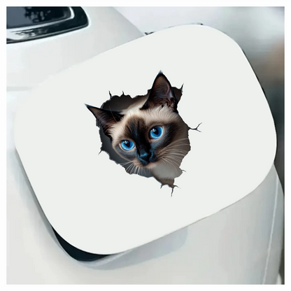 Brown Siamese Cat With Blue Eyes Vinyl Sticker Decal