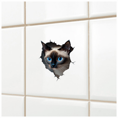 Brown Siamese Cat With Blue Eyes Vinyl Sticker Decal