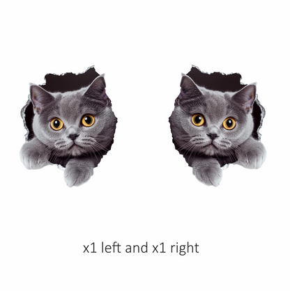 Gray British Shorthair Cat With Amber Eyes Vinyl Sticker Decal