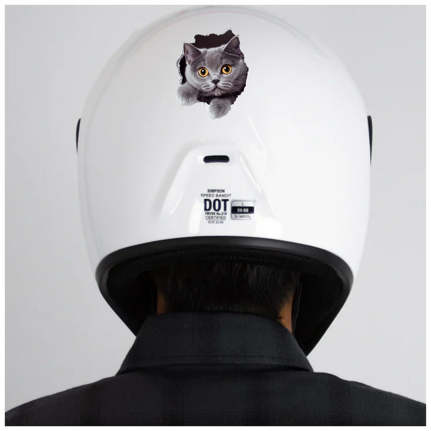 Gray British Shorthair Cat With Amber Eyes Vinyl Sticker Decal