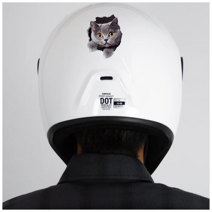 Gray British Shorthair Cat With Amber Eyes Vinyl Sticker Decal