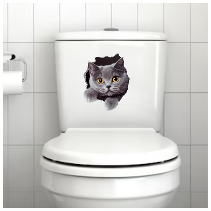 Gray British Shorthair Cat With Amber Eyes Vinyl Sticker Decal