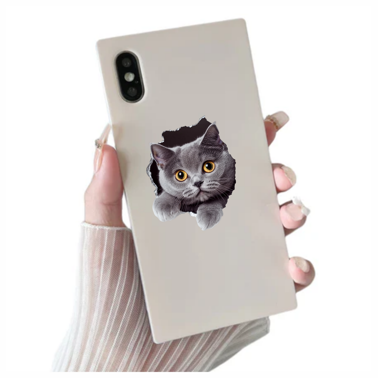 Gray British Shorthair Cat With Amber Eyes Vinyl Sticker Decal