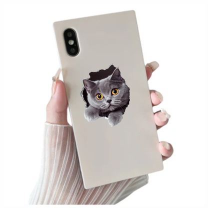 Gray British Shorthair Cat With Amber Eyes Vinyl Sticker Decal