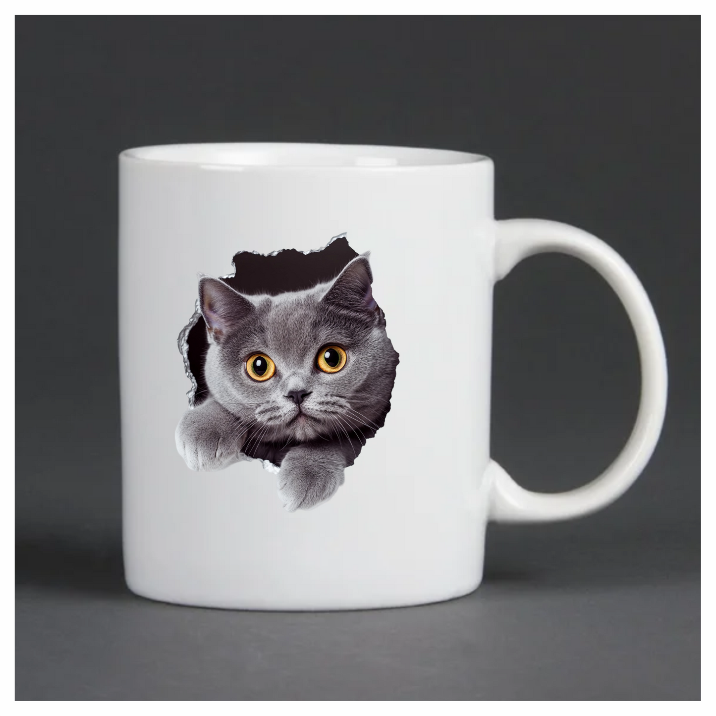 Gray British Shorthair Cat With Amber Eyes Vinyl Sticker Decal