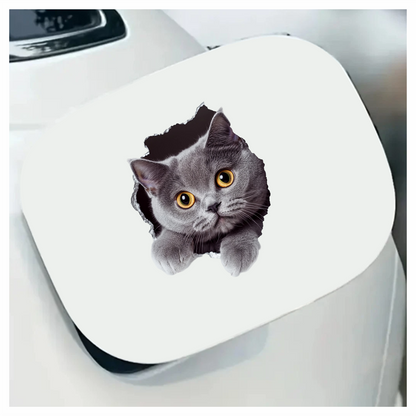 Gray British Shorthair Cat With Amber Eyes Vinyl Sticker Decal