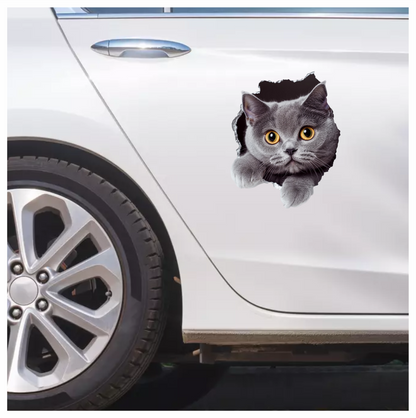 Gray British Shorthair Cat With Amber Eyes Vinyl Sticker Decal