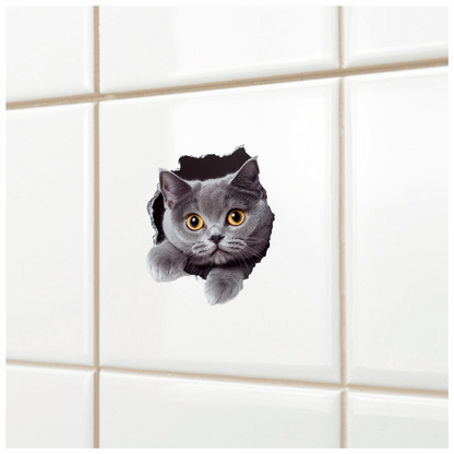 Gray British Shorthair Cat With Amber Eyes Vinyl Sticker Decal