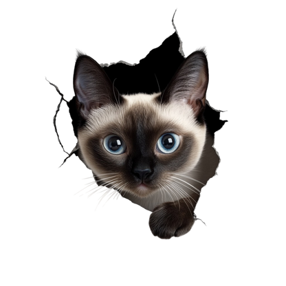 Brown Siamese Cat With Blue Eyes Vinyl Sticker Decal