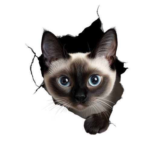 Brown Siamese Cat With Blue Eyes Vinyl Sticker Decal