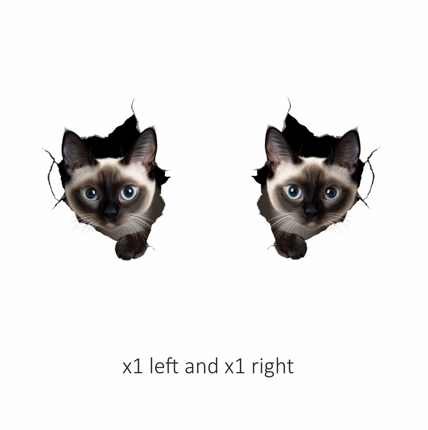 Brown Siamese Cat With Blue Eyes Vinyl Sticker Decal