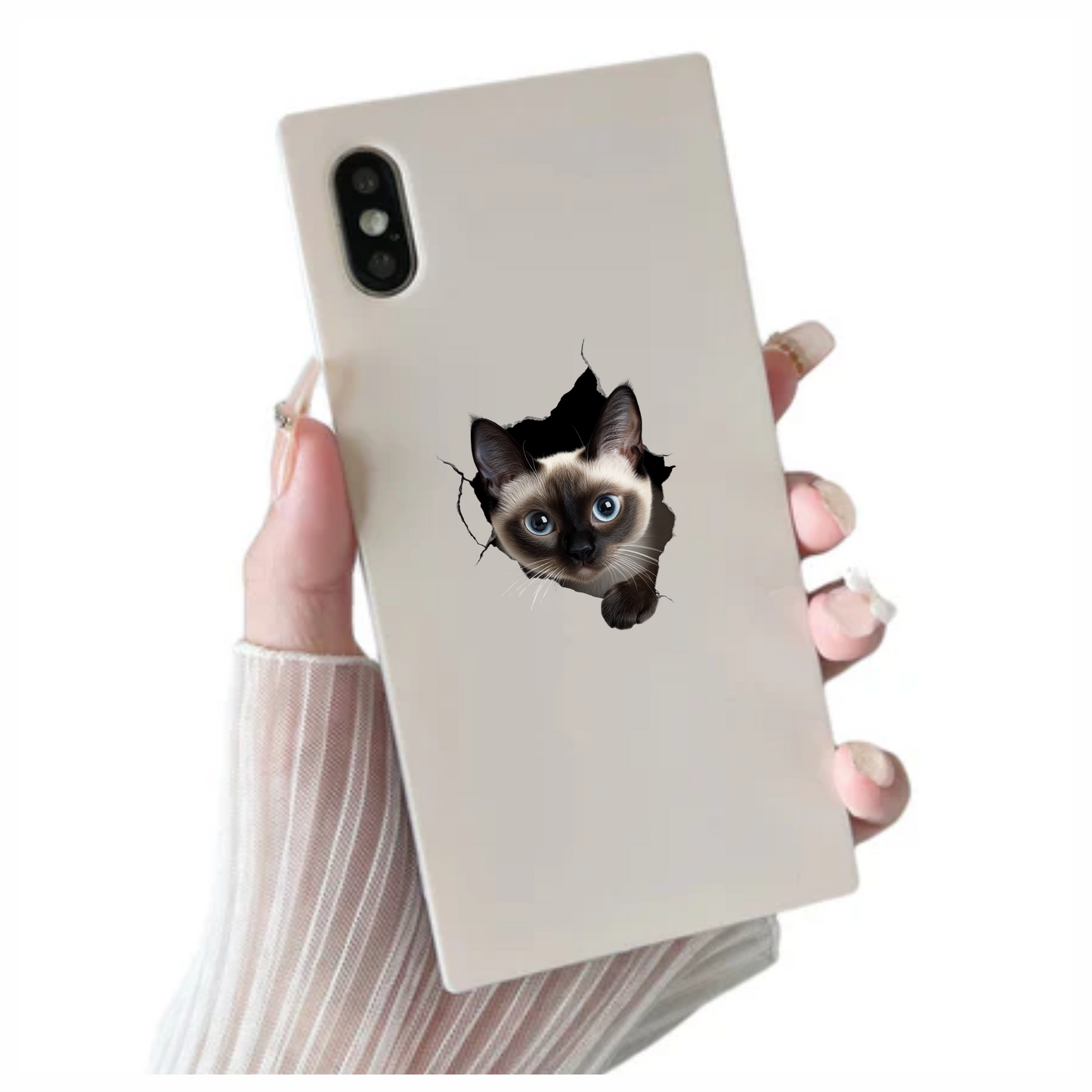 Brown Siamese Cat With Blue Eyes Vinyl Sticker Decal