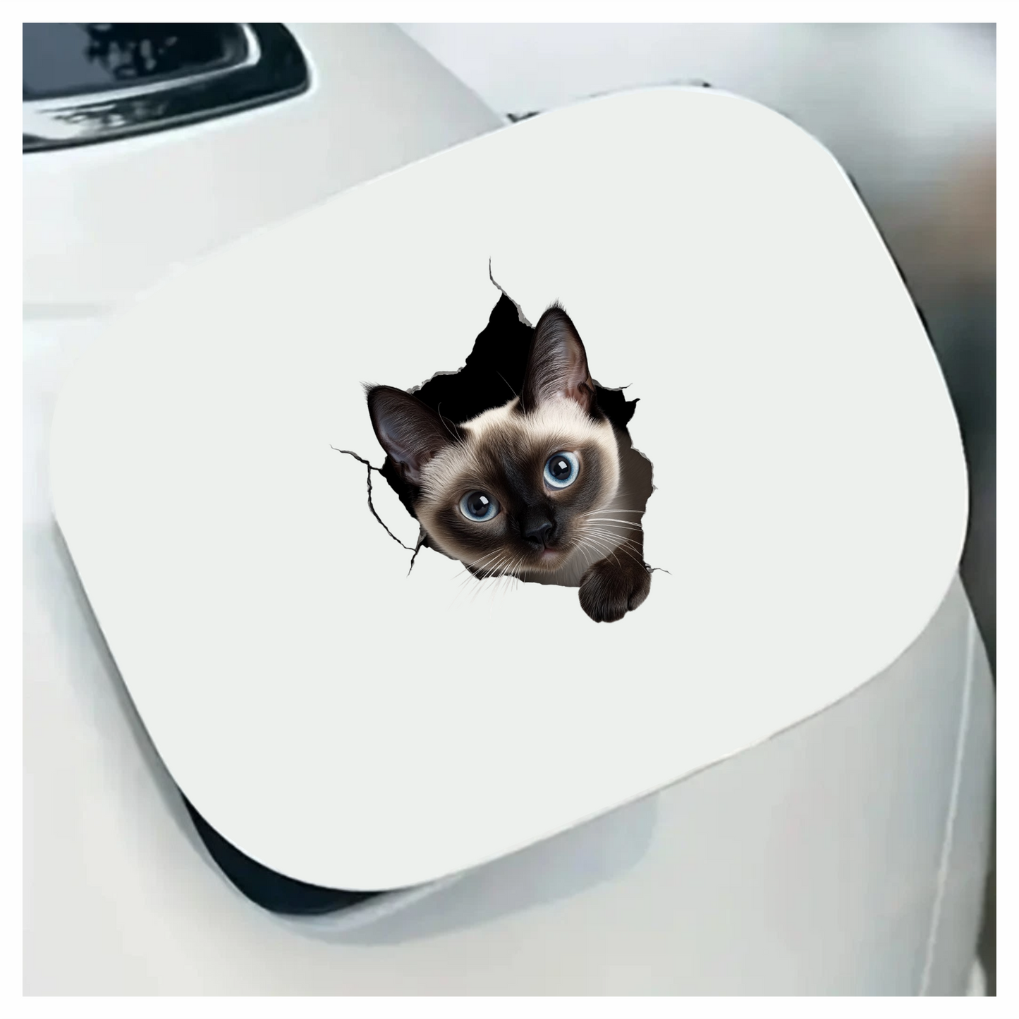 Brown Siamese Cat With Blue Eyes Vinyl Sticker Decal