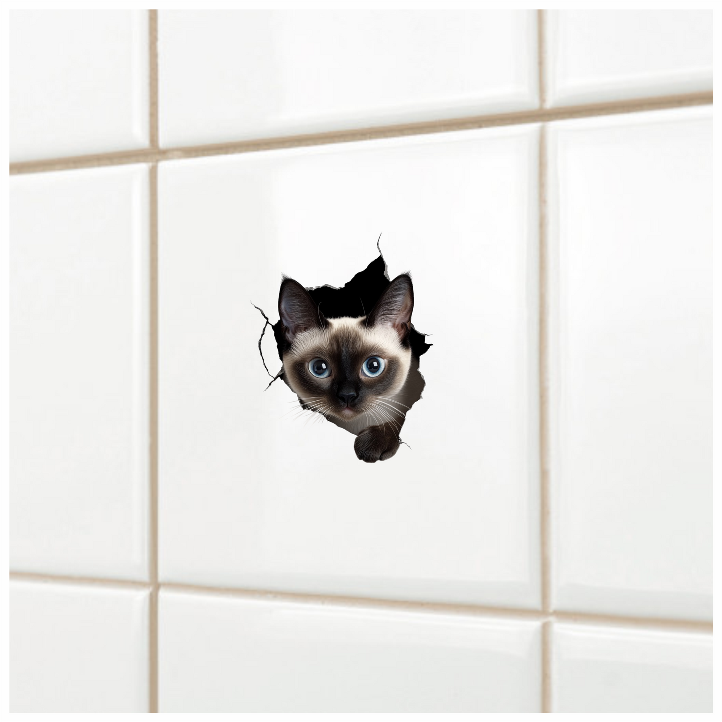 Brown Siamese Cat With Blue Eyes Vinyl Sticker Decal