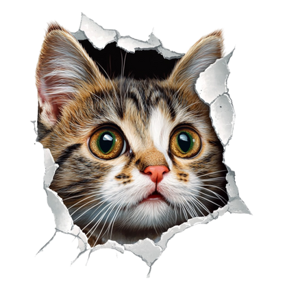 Brown Tabby Kitten With Green Eyes Vinyl Sticker Decal