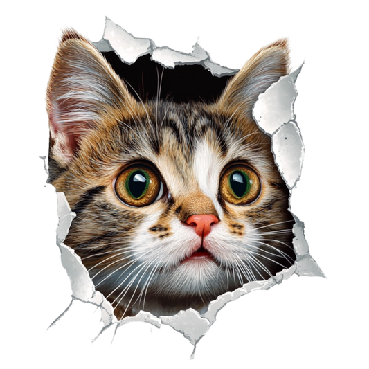 Brown Tabby Kitten With Green Eyes Vinyl Sticker Decal
