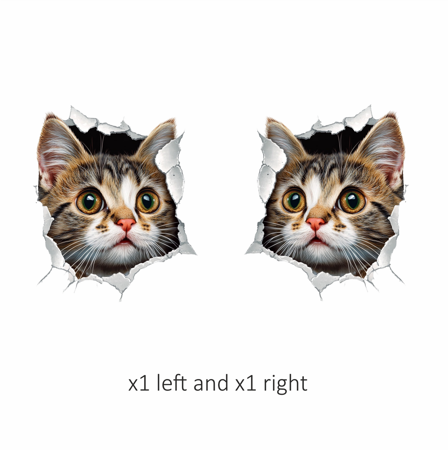 Brown Tabby Kitten With Green Eyes Vinyl Sticker Decal