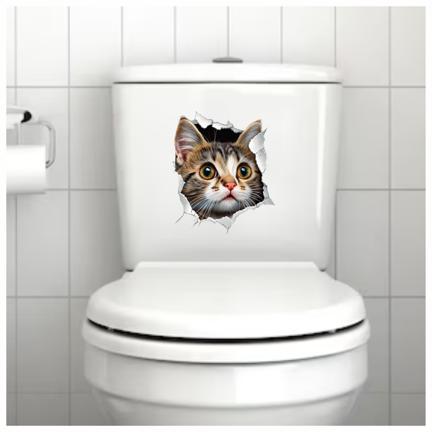 Brown Tabby Kitten With Green Eyes Vinyl Sticker Decal