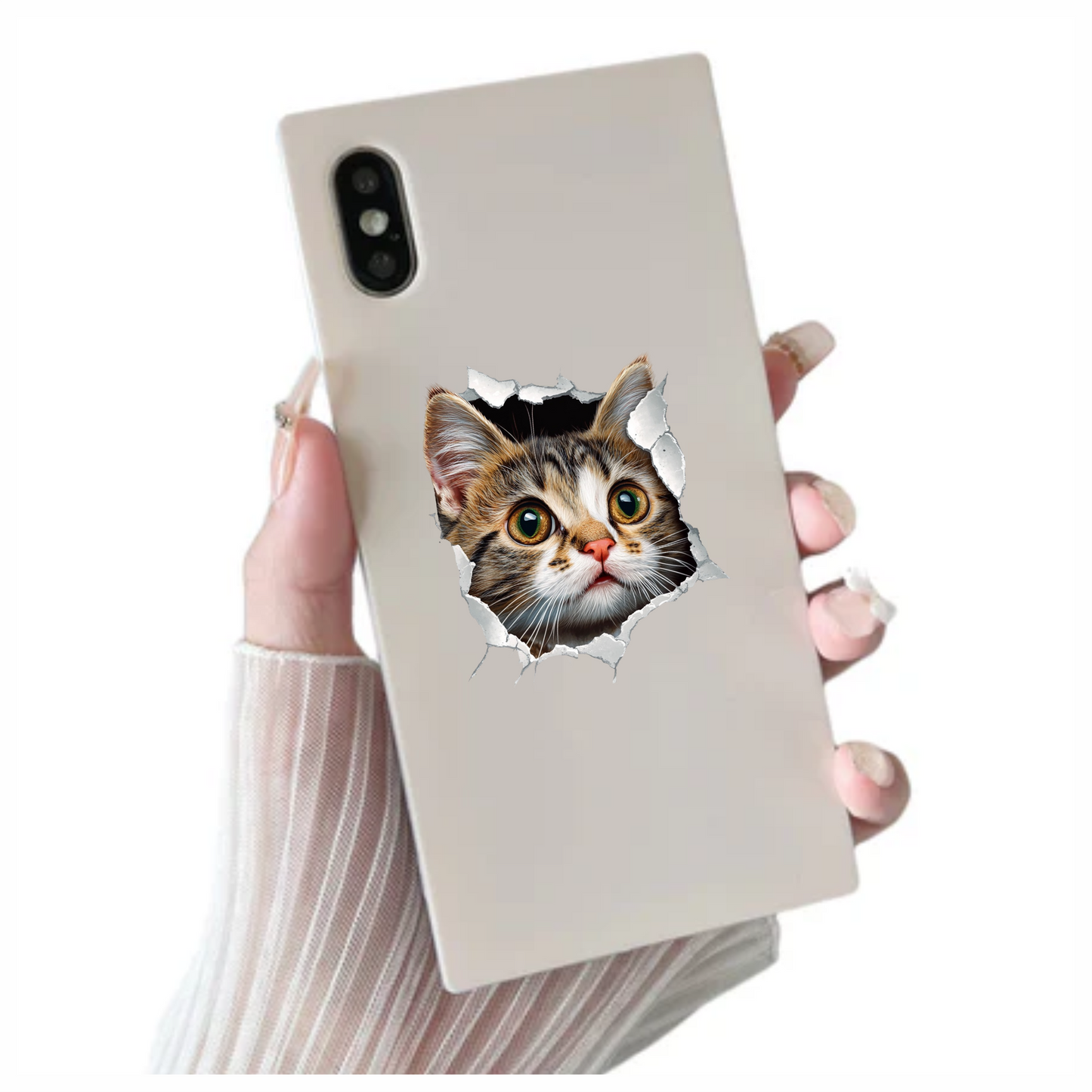 Brown Tabby Kitten With Green Eyes Vinyl Sticker Decal
