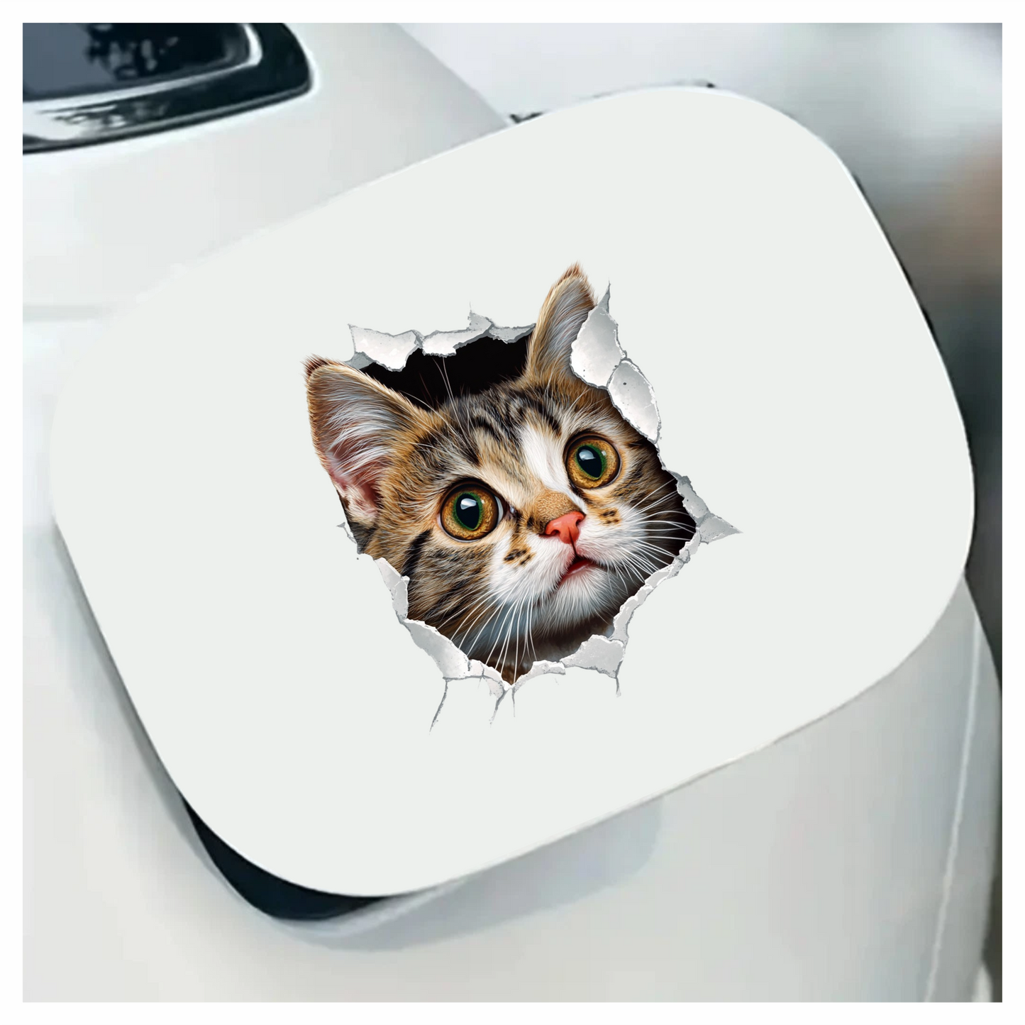 Brown Tabby Kitten With Green Eyes Vinyl Sticker Decal