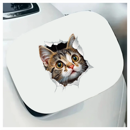 Brown Tabby Kitten With Green Eyes Vinyl Sticker Decal