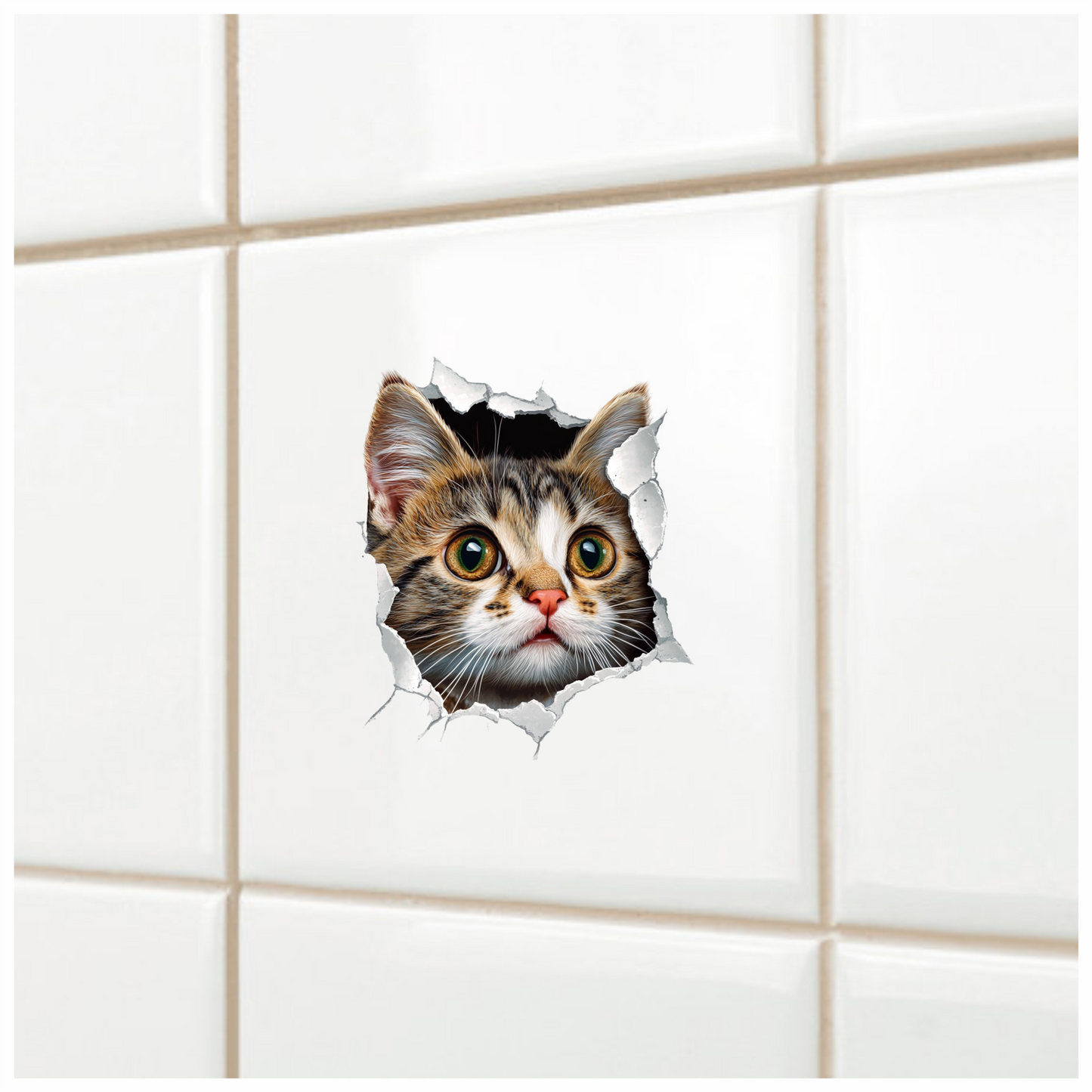 Brown Tabby Kitten With Green Eyes Vinyl Sticker Decal