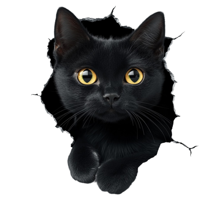 Black Cat With Bright Yellow Eyes Vinyl Sticker Decal