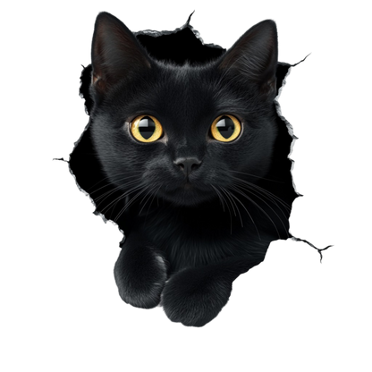 Black Cat With Bright Yellow Eyes Vinyl Sticker Decal